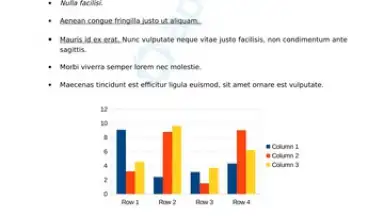 Screenshot von Progromatic DOCS Reader 5