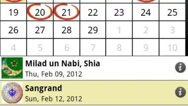 Screenshot von Desi Calendar 6