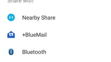 Screenshot von Abacus Browser 1