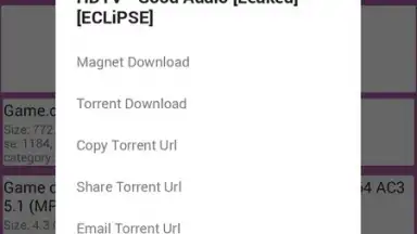 Screenshot von Laura Android's Best Torrent Search 2