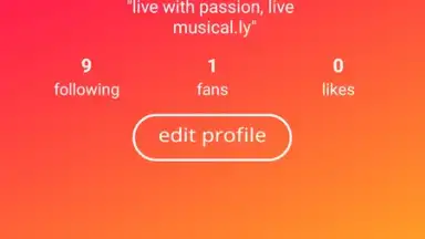 Screenshot von TikTok 8