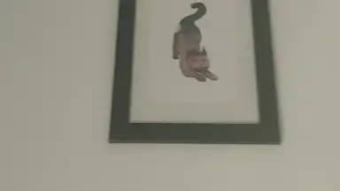 Screenshot von TikTok Now 9