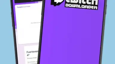 Screenshot von Twitch Downloader 1