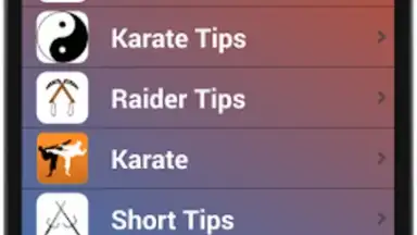 Screenshot von Karate Training 3