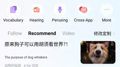 Screenshot von Baidu Translate 1