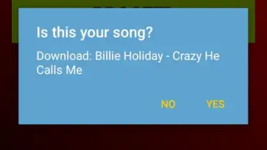Screenshot von Youtube Mp3 Downloader 5