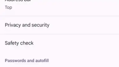 Screenshot von Chrome Beta 2