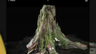 Screenshot von RealityScan - 3D Scanning App 13