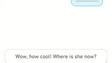 Screenshot von Duolingo 9