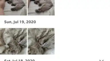 Screenshot von Google Photos 8