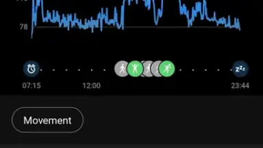 Screenshot von Garmin Connect 6
