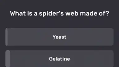 Screenshot von QuizzLand 2