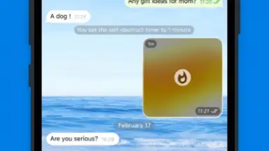 Screenshot von Potato chat 12