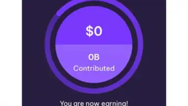 Screenshot von Earnapp 5