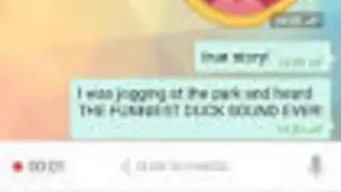Screenshot von Hai 1