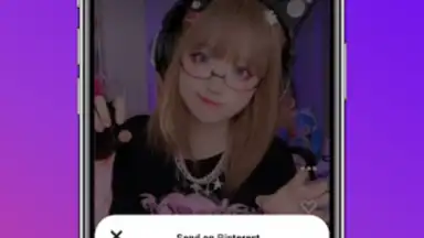 Screenshot von Downloader for Pinterest 4