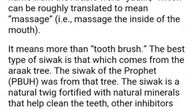 Screenshot von Prophetic Medicine & Herbalist 4