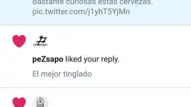 Screenshot von Twitter Lite 5