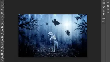 Screenshot von Photopea 3