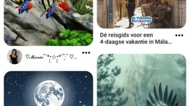 Screenshot von Pinterest 1