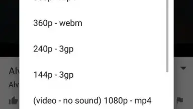 Screenshot von SnobTUBE - Video Audio Downloader 4