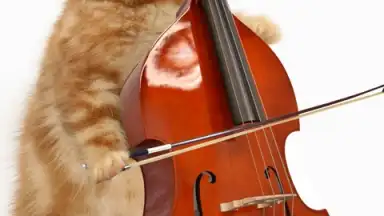 Screenshot von Talking, Dancing Cat. 5