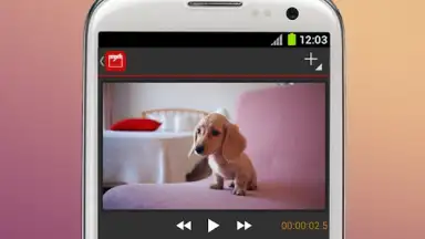 Screenshot von V-Edit 5