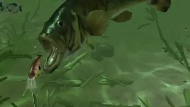 Screenshot von Rapala Fishing 6