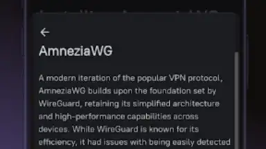 Screenshot von Amnezia VPN 4