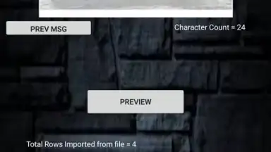 Screenshot von CustomizedBulkSMS 1