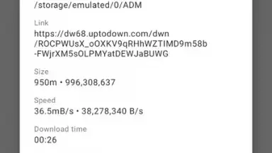 Screenshot von Advanced Download Manager 13