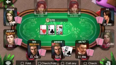 Screenshot von DH Texas Poker 5