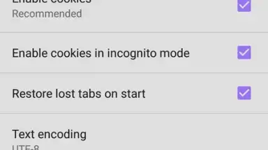 Screenshot von Ae browser 1
