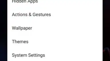 Screenshot von Apex Launcher 11