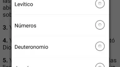 Screenshot von Santa Biblia para la Mujer 2
