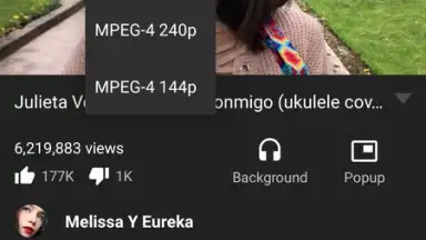 Screenshot von NexTube 5