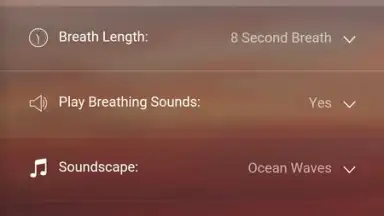 Screenshot von Sanvello 1