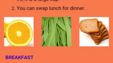 Screenshot von Express Diet 3
