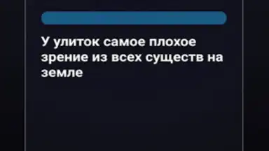 Screenshot von Правда или Ложь 5