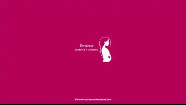 Screenshot von Semanas Embarazo 14