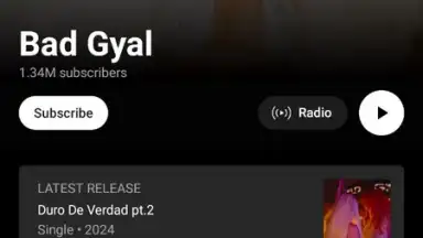 Screenshot von YouTube Music 1