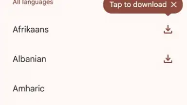 Screenshot von Google Translate 9