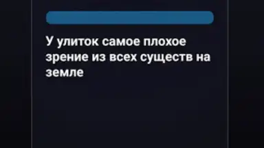 Screenshot von Правда или Ложь 20