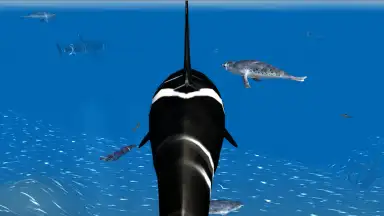 Screenshot von Orca Simulator 4