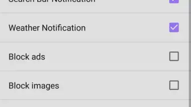 Screenshot von Fast Browser 5