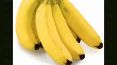 Screenshot von Food Dictionary 2