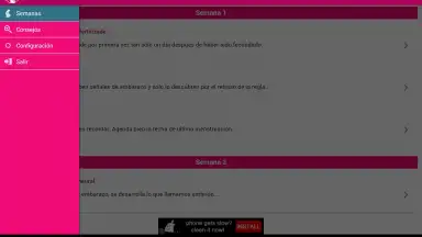 Screenshot von Semanas Embarazo 9