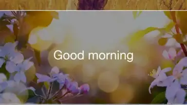 Screenshot von Insight Timer 9