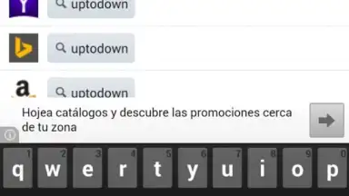 Screenshot von FlashFox - Flash Browser 3