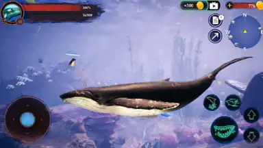 Screenshot von The Humpback Whales 7
